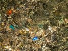 山からの水は、宿付近にある水路にも流れ出ています。きらきら透明に輝いています。