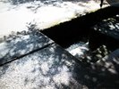当館の目の前には山からの水が流れており、水音にも癒されます。