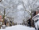 雪の日のがいせん桜通りは、一面の雪景色に惚れ惚れします。