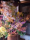 鮮やかな秋の植物が軒先を彩っています!