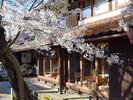 宿から縁側でゆっくりお花見も!夜は縁側で晩酌をご希望されるお客様も多いです。