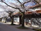 通り沿いの建物の多くは、今も使われています。生きた町並みです。