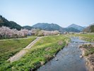 春の新庄村の風景。どことなく、やわらかで暖かな空気が写真からも感じられます。