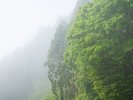 霧がかった朝、そんな日もあります。山間の景色が神秘的で、ほんのり水気を纏った空気も美味です。