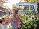 軒先の生花は、村の方によって四季折々素晴らしい作品を生けていただいています!