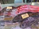 泊いゆまちに新鮮な魚色々があり 〜^0^〜 魚の切り身や尾頭付き、刺身、寿司、フライ、炙りなど...