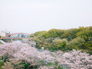 【風景】