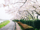 【風景】