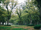 【風景】