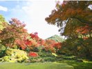 【みやま清水寺本坊庭園】1929年、国の名勝庭園に指定された庭園の秋は、赤や黄色、絵画のような風景