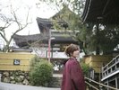 【周辺・景観|温泉街】歴史と文化が息づく有馬温泉の魅力をより深く感じられます