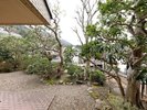 【ツインルーム|うぐいすの間】緑に包まれた静かな庭を望む。
