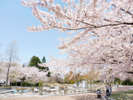 【八戸公園】