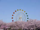 【八戸公園】