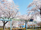 【八戸公園】