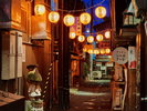 【たぬき小路:中心街に有る横丁の一つ】 画像提供:(一財)VISITはちのへ
