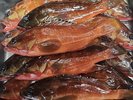 駿河湾でとれた鮮度抜群の海の幸