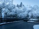 水庭(雪景色)