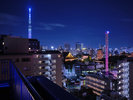 ホテル屋上からの景色