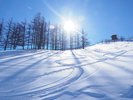 �m���䍂���X�L�[��n�㎿�ȃp�E�_�[�X�m�[�ƍL��ȃQ�����f���ւ�A���k���w�̃E�B���^�[���]�[�g�B