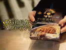 モニタープランアパ社長カレー