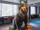 エレベーターを降りると熊がお出迎え。