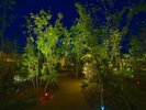 施設内庭園