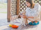 愛犬とのお食事も可能