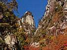 秋の紅葉スポット「昇仙峡」