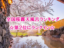 桜露天風呂ランキング全国2位〜男鹿ホテル
