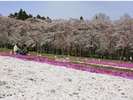 【千本桜】