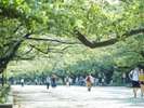 ■上野恩賜公園「写真提供:(公財)東京観光財団」