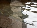人工温泉・準天然〜光明石温泉〜