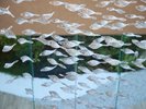 吹き抜けのシャンデリアがお客様をお迎えします