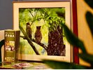 シマフクロウの写真があちこちに…