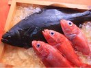 【地元食材】青森県近海の幸