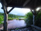 【睡蓮沼(夏)】