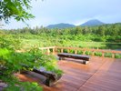 【睡蓮沼(夏)】