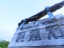 【睡蓮沼(夏)】