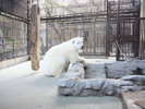 ◆愛媛県立とべ動物園A
