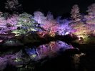 【由志園】雪景色や池の水面に映る灯りが織りなす幻想的な冬の庭園。