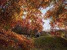 山中湖文学の森公園
