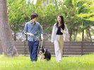 ご滞在イメージ