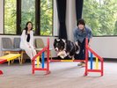 屋内プレイスペース