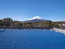 【DOG PARK】富士山の絶景と青い人工芝の屋上DOG PARK