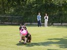 【DOG PARK】わんちゃんと一緒に思いっきり遊べます
