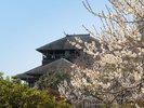 【久慈サンピア日立】周辺の観光◆水戸偕楽園…車で約45分