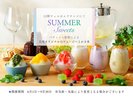 夏の涼を楽しむ白菊時間