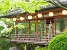 【菊乃間】季節によって違う表情を見せる日本庭園。