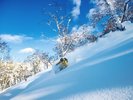 世界でも有数のパウダースノーが降り積もるルスツ(イメージ)